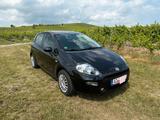 Fiat Punto MYSTYLE TÜV NEU, Klima, Zahnriemen Neu - Fiat Punto mit Benzin-Antrieb: Kleinwagen