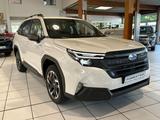 Subaru Forester 2.0 ie AWD Active Hybrid - Subaru Forester Active mit Hybrid-Antrieb (Benzin/Elektro)