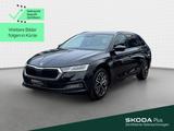 Skoda Octavia Combi First Edition 2.0 TDI DSG*NAVI*AHK - Skoda Octavia Gebrauchtwagen in Frankfurt