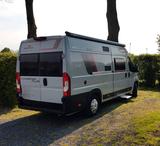 Roller Team LIVINGSTON DUO Sport - Offers