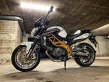 Aprilia Shiver 750 Cult White - Aprilia Motorräder in München