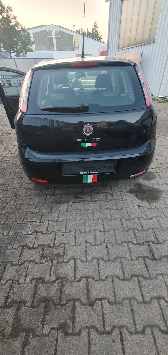 Fiat Punto More
