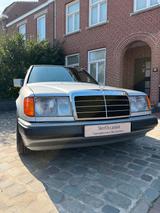 Mercedes-Benz Mercedes Benz W124 250D Baujahr 1991 Schal... - Mercedes-Benz 250: W124 250d