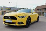 Ford Mustang 2.3 EcoBoost - PerformancePaket/50 Years - Ford Mustang in Halle