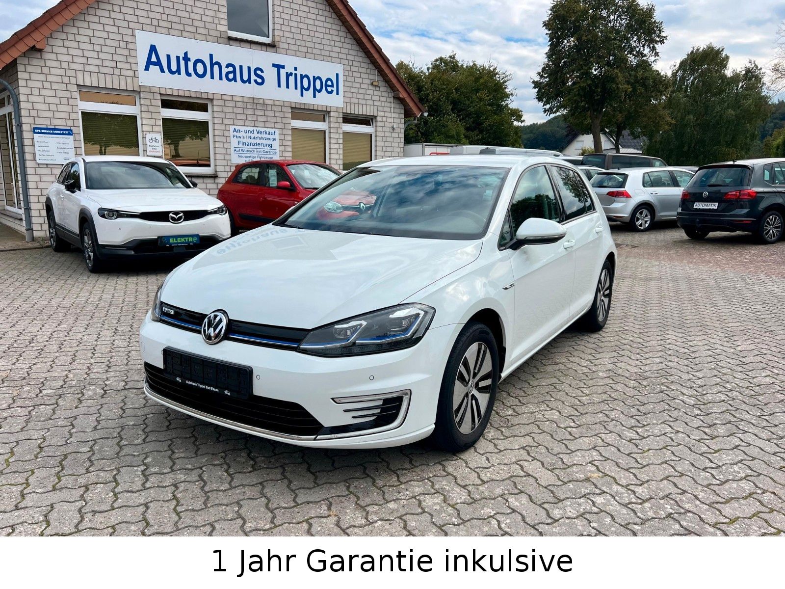 Volkswagen e-Golf CCS LED Navi Kamera Garantie