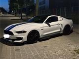 Ford Mustang GT 5.0 V8 | alles eingetragen