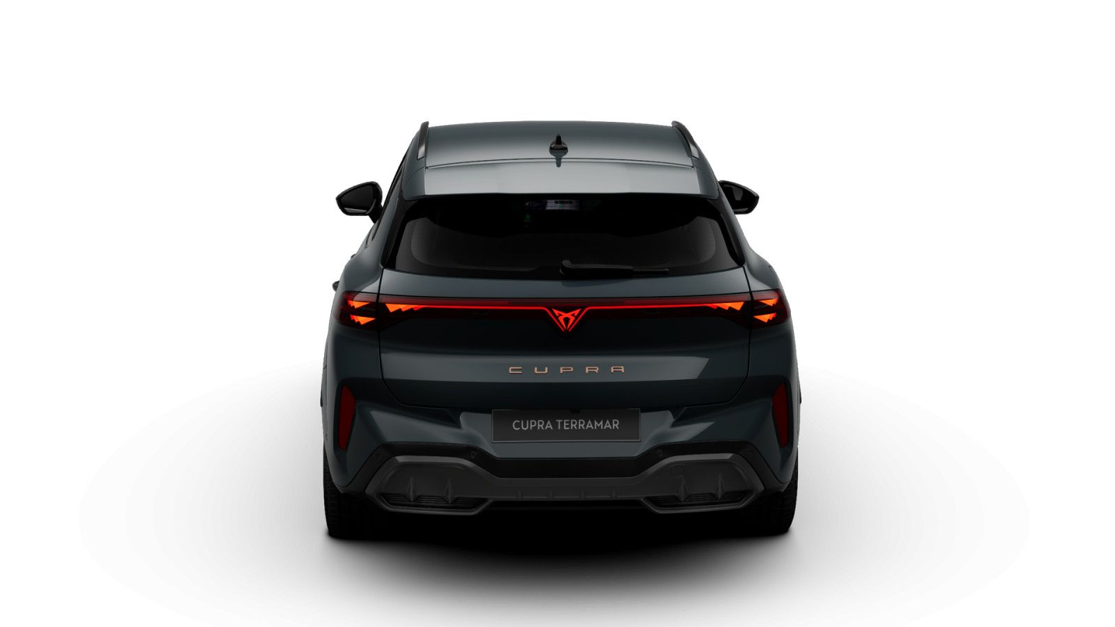 Cupra Terramar - Bild 9