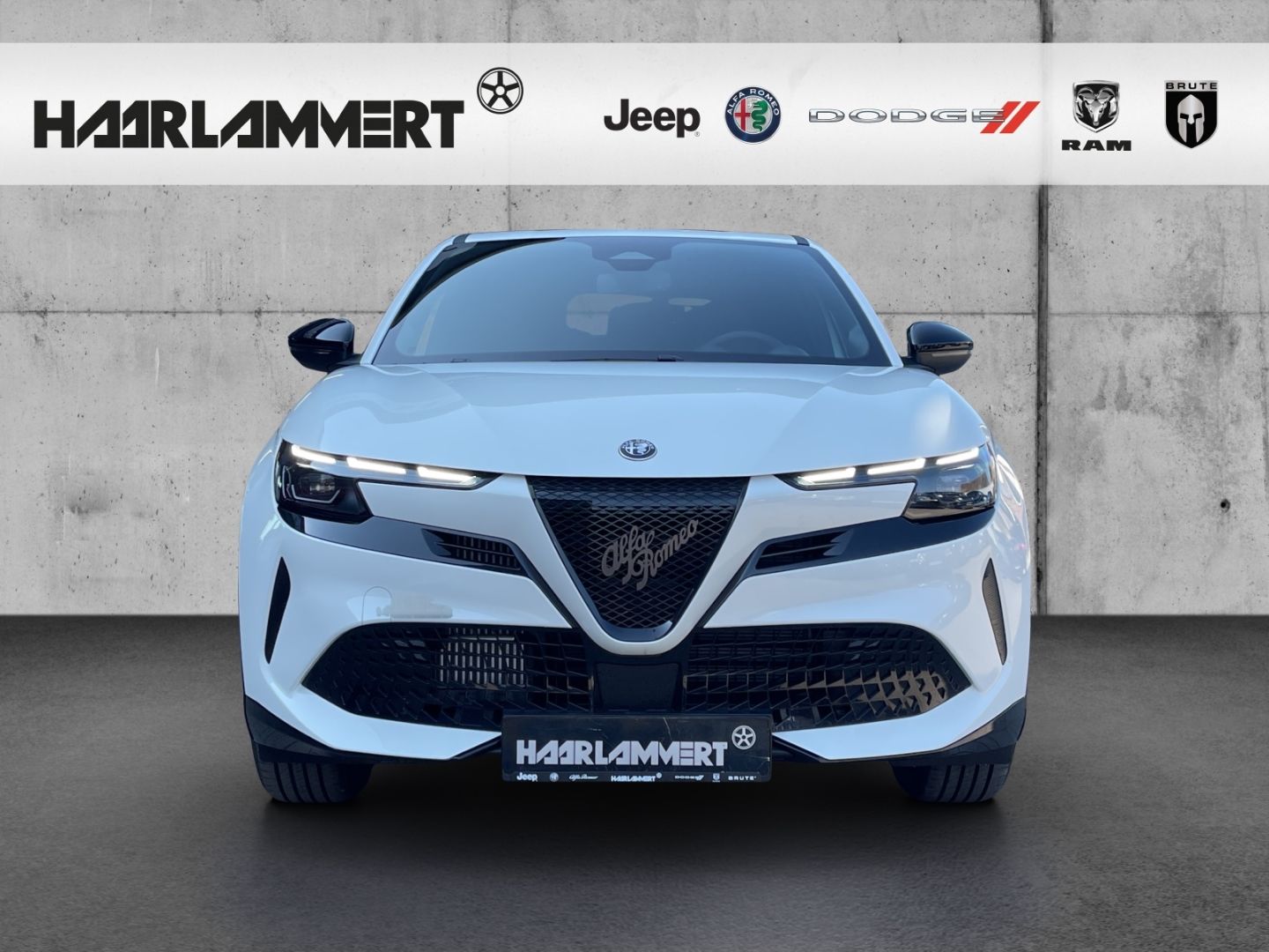 Alfa Romeo Junior - Bild 4