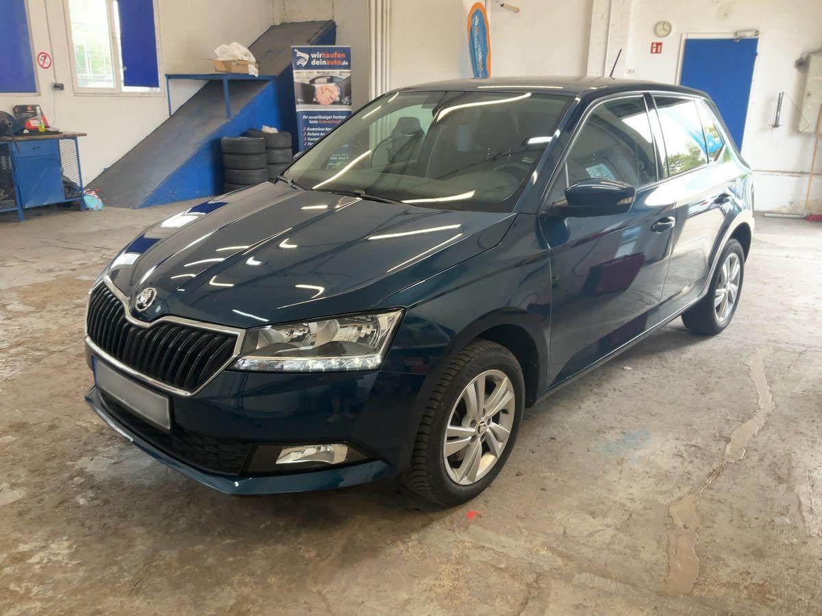 Skoda Fabia Ambition DSG,SmartLink ,Kammera,DAB