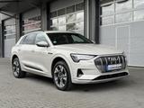 Audi 55 quattro Allrad - mit Elektro-Antrieb: Beige, Kombi