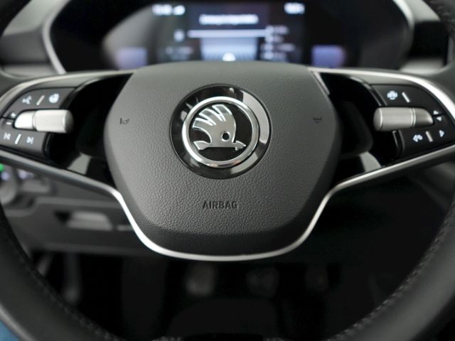 Fabia SELECTION TSI+LED+RÜCKFAHRKAMERA+SITZ-/LEN