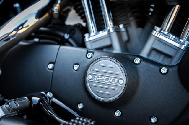 Fahrzeugabbildung Harley-Davidson ROADSTER - XL1200CX - J&H Klappenauspuff