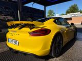 Porsche Cayman GT4 - PPF - Approved - Porsche Cayman in Berlin