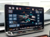 CUPRA Terramar 1.5 eTSI DSG PANO AHK KAM 19