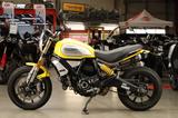 Ducati Scrambler 1100 - DUCATI GELB
