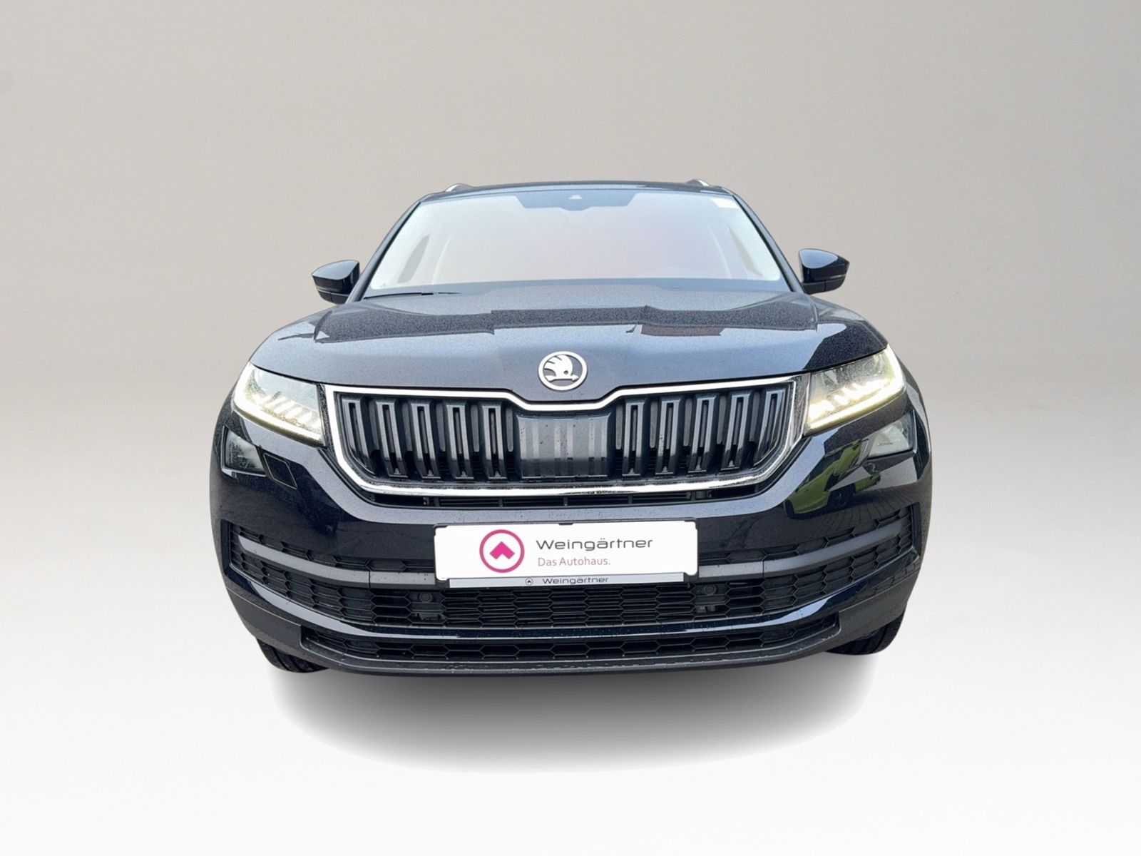 Kodiaq 2.0 TDI Style 4x4, Business Columbus, PAN