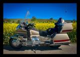 Honda Goldwing GL 1500 SE - Angebote