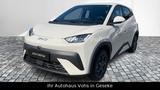 BYD Dolphin Surf Boost 43kWh|ACC|R-Kam|Navi|Keyless|