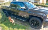 GMC Sierra SLT, kein Ram, Ford F 150, Silverado - GMC Gebrauchtwagen