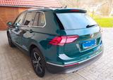 Volkswagen Tiguan 2.0 TSI DSG 4MOTION Highline - mit Benzin-Antrieb: Grün, Beheizbare Frontscheibe
