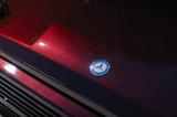 Mercedes-Benz G 250 GD Wolf - Mercedes-Benz G-Klasse: Wolf
