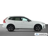 Volvo XC60 T8 AWD Plus Black Edition Plug-In Hybrid - : Geländewagen, Awd