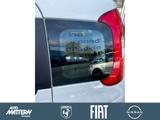 Fiat Panda 1.0 Mild Hybrid Klima/PDC/DAB/Bluetooth - Fiat Panda Tageszulassungen