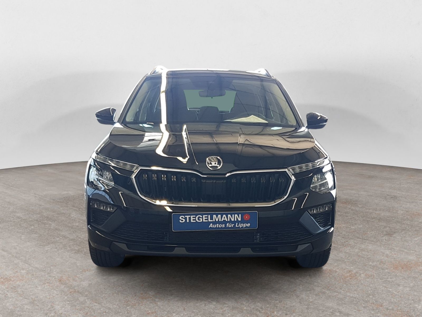 Skoda Kamiq - Bild 9