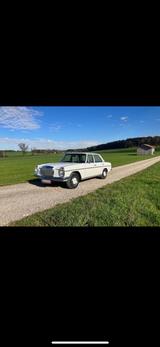 Mercedes-Benz Mercedes 200/8  1.Serie 115000KM Originalz... - Mercedes-Benz 200: 8