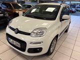 Fiat Panda Easy - gebrauchte Fiat Panda aus dem Jahr 2020
