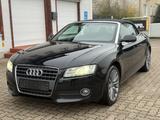 Audi A5 Cabriolet 2.0 TDI SPORT-PAKET/XENON/TÜV NEU - gebrauchte Roadster