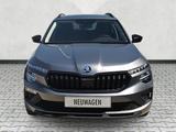 Skoda Kamiq 1.0 TSI DSG Selection Kamera / Kessy / 17" - Skoda Kamiq Tageszulassungen