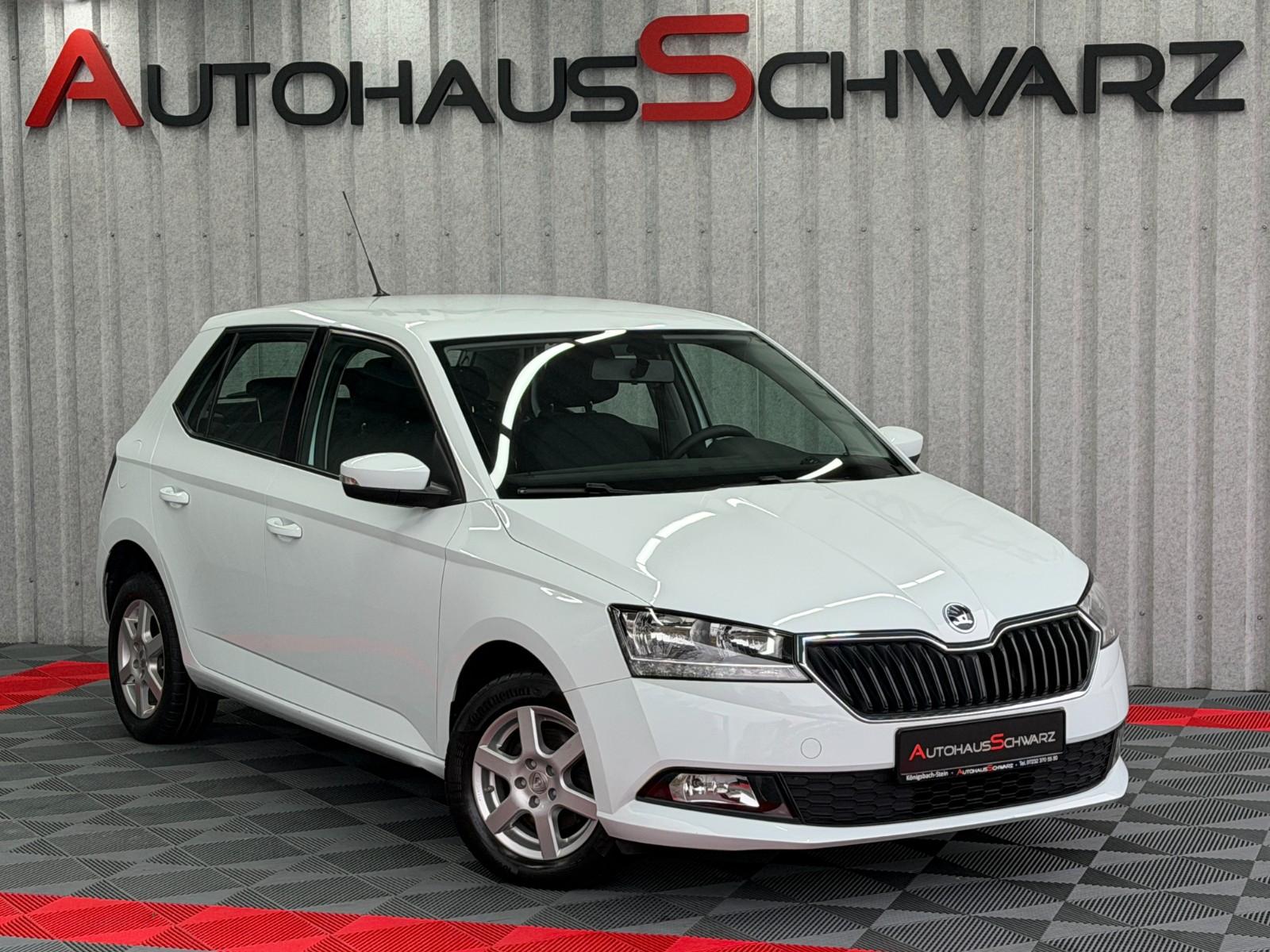 Skoda Fabia Active PDC AHK Led 8Fach ZV Klima Alufelge