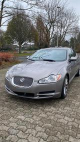 Jaguar XF 3.0 V6 Diesel S Premium Luxury Premium Luxury - gebrauchte Jaguar XF aus dem Jahr 2009