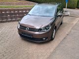 Volkswagen Automobile - Automobile gebraucht