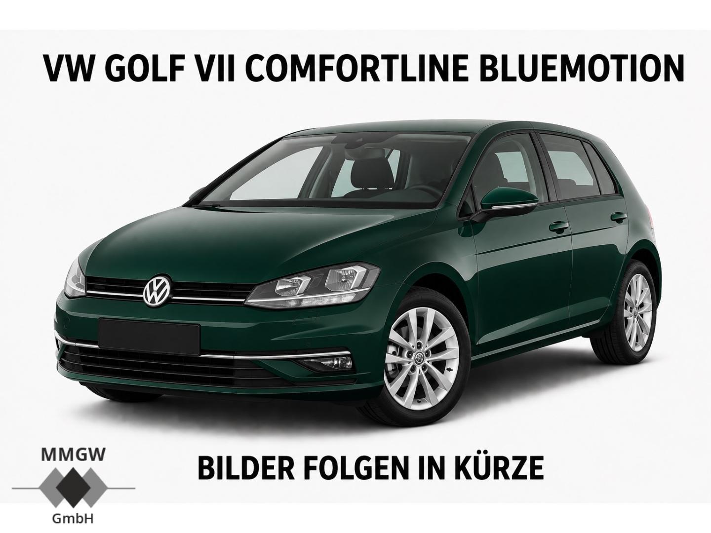 Volkswagen Golf VII Comfortline BlueMotion DynKurvenlicht/S