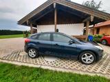 Ford Focus Schräghecklimousine - Ford Focus: Schrägheck