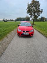 Seat Ibiza Ellenator - Seat Ibiza von privat