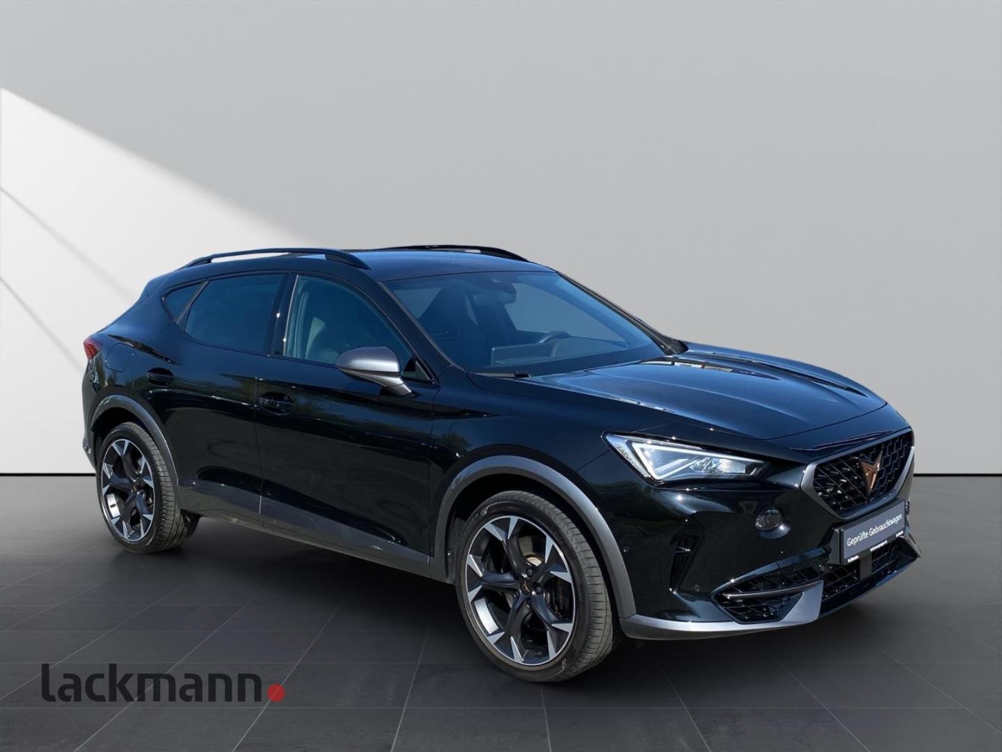 Cupra Formentor 2.0 VZ 4Drive *Navi*Voll-LED*Winterp.*