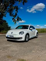 Volkswagen Vw Käfer 1.2 TSI |Standheizung | Checkheft... - Volkswagen: Sportwagen, Kaefer