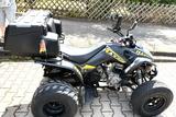 Kymco Maxxer 300 - KYMCO QUAD