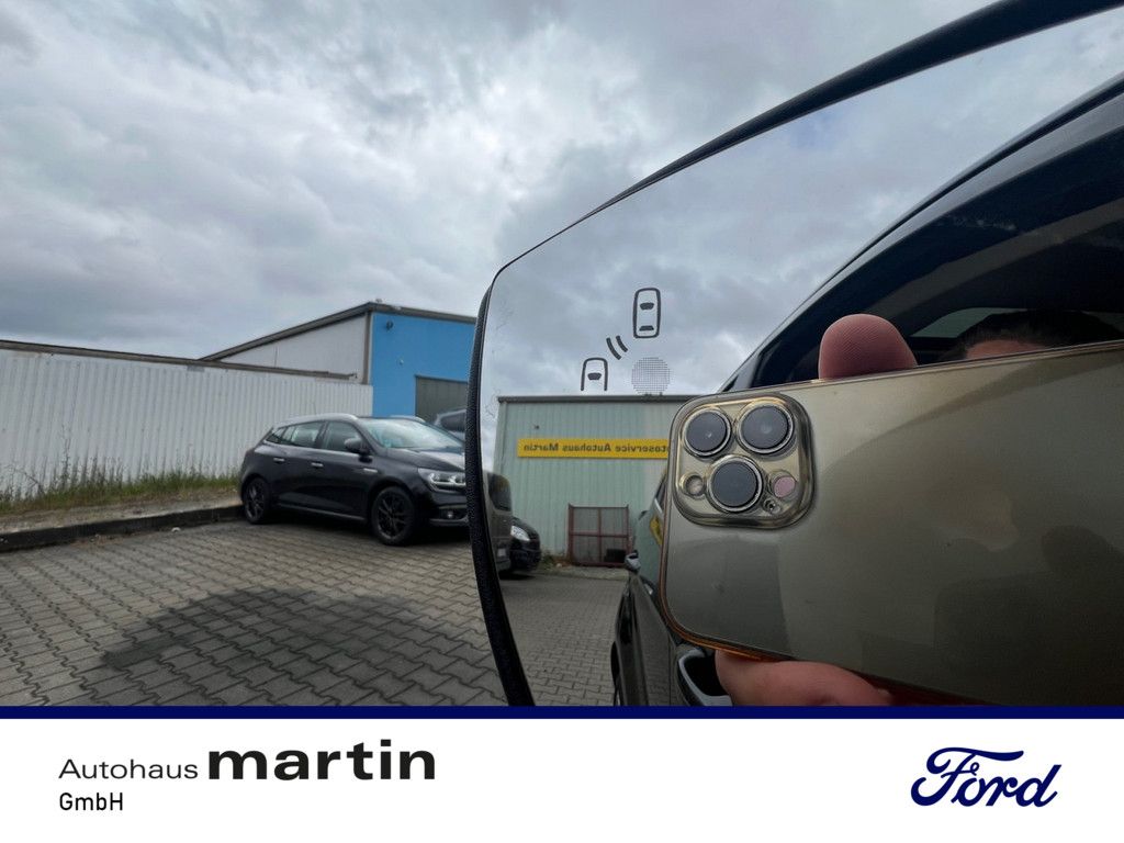Fahrzeugabbildung Ford EcoSport 1.0 EcoBoost Titanium X Start/Stopp EUR