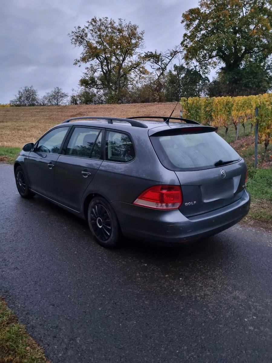 Volkswagen Golf 2008 — photo 8