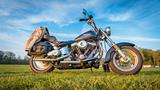 Harley-Davidson FXST 1988 gepflegter Zustand, Liebhaberstück - HARLEY-DAVIDSON 1988