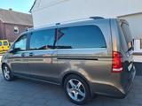 Mercedes-Benz V 220 CDI AVANTGARDE lang AVANTGARDE - mit Diesel-Antrieb: Gold, Vollleder