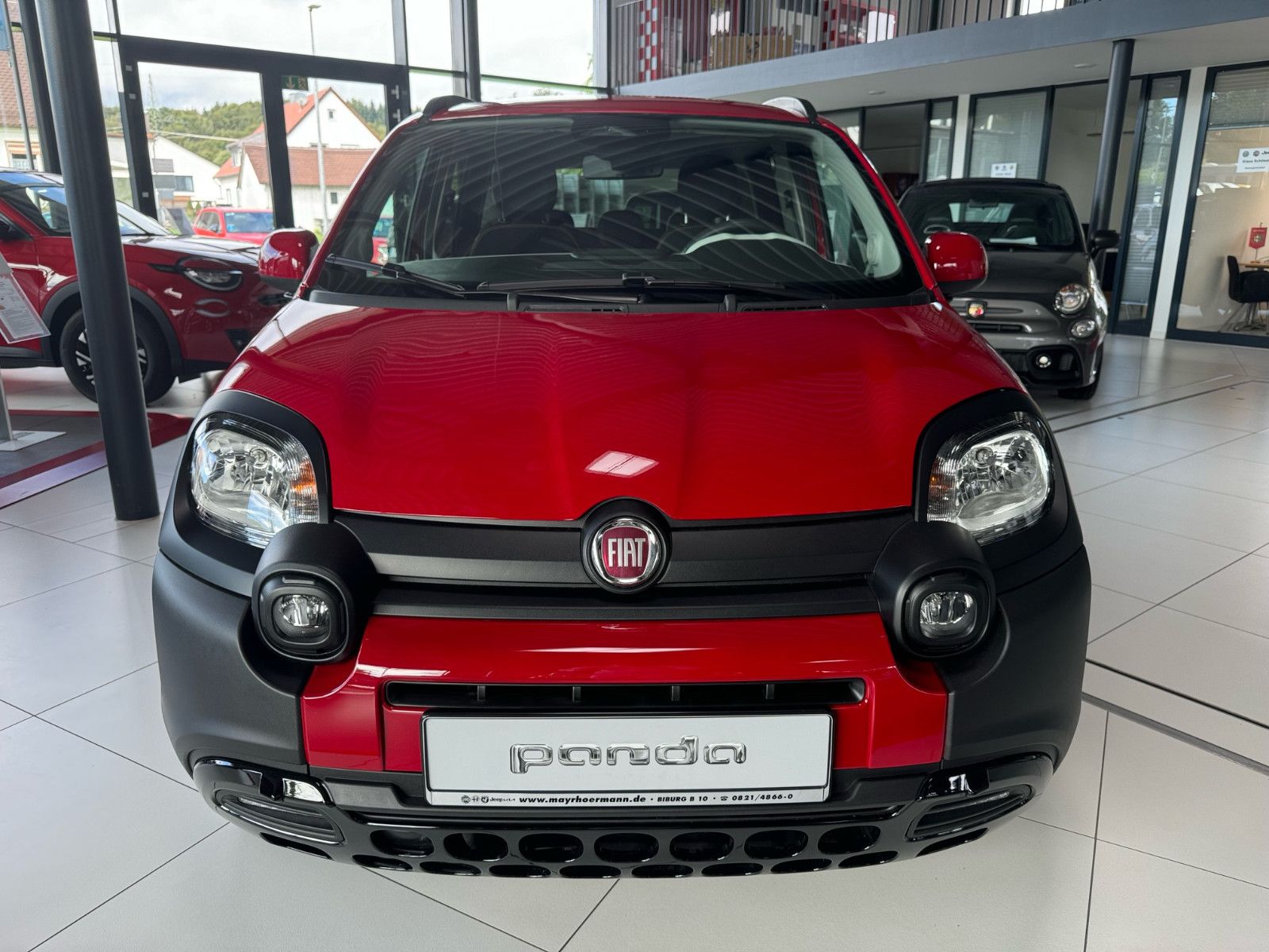 Fahrzeugabbildung Fiat Panda Pandina Cross