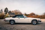 Jaguar XJS V12 Cabrio, wunderschönes Exemplar! - Jaguar: V12