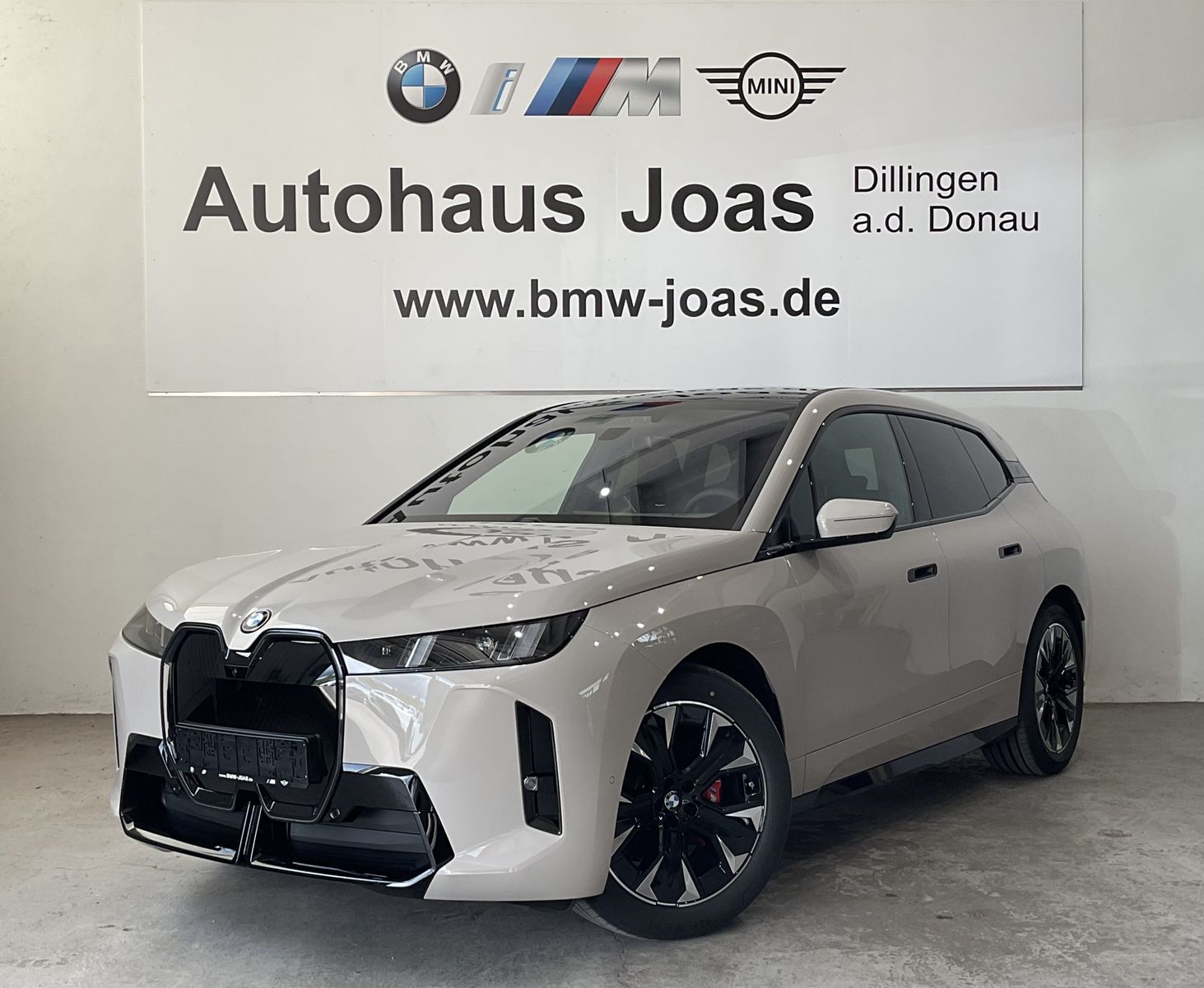 Fahrzeugabbildung BMW iX xDrive45 |Sitzbelüftung |AHK |Panoramadach
