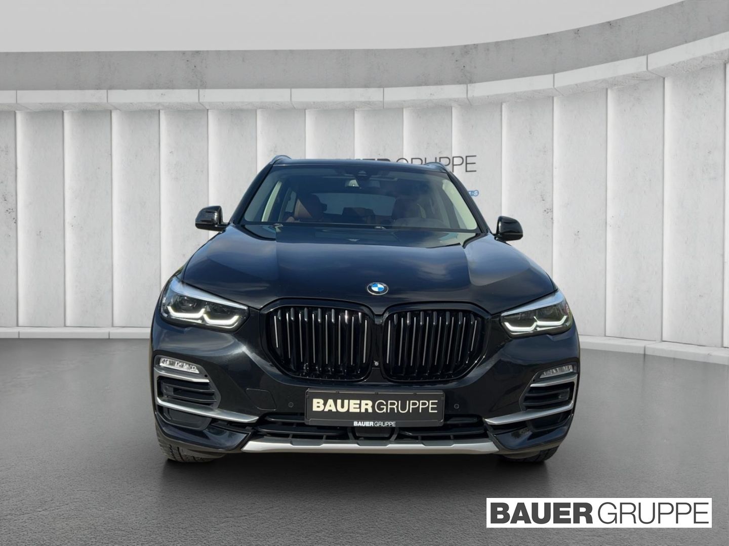 BMW X5 xDrive30d xLine Park-Assistent StandHZG AHK-k foto 2