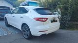 Maserati Levante 3.0 V6 430HP Modena S Auto 4WD Modena S - Maserati Levante: Modena